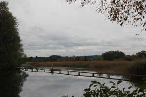 Lindenweiher Oberschwaben