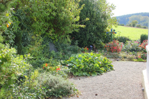 Guggenhauser Kapelle Garten