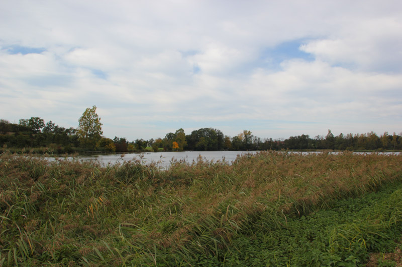 Guggenhauser Weiher & Kapelle | Fischweiher in Oberschwaben