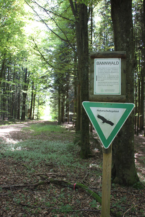 Naturschutzgebiet Brunnenholzried Oberschwaben