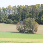 Umgebung Guggenhausen Wald