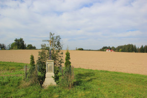 Umgebung Guggenhausen Wegkreuz