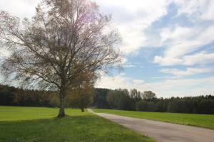 Umgebung-Guggenhausen-Weiher