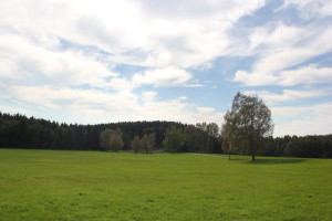 Wanderwege Umgebung Guggenhausen