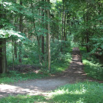 Wanderwege um Brunnenholzried Bad Waldsee