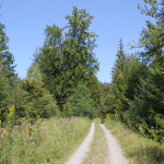 Weg um Brunnenholzried
