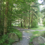 Weg zum Hofgut Elchenreute