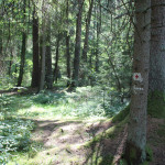 Wegweiser Wanderweg durchs Ried