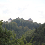 Sicht auf Schloss Wolfegg