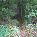 Mountainbike Strecke Altdorfer Wald