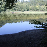 Angelsteg Elfenweiher