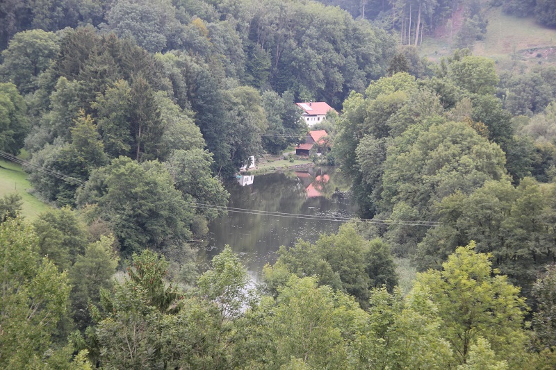 Giras Weiher & Elfenweiher im Girasmoos | Oberschwaben