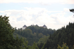 Blick auf Schloss Wolfegg