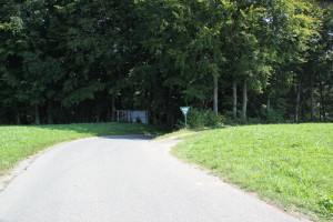 Weg zum Girasmoos