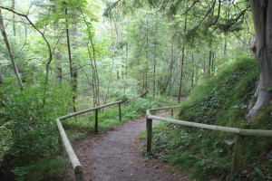 09-Pfad-Höll-Oberschwaben-