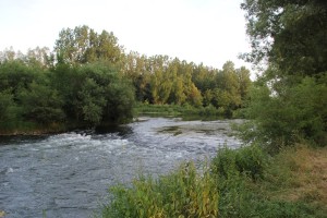 Donau Oberschwaben