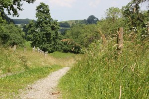 Wanderweg Oberschwaben