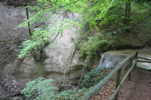 Kalkgestein beim Wasserfall Schmalegger Rinkenburger Tobel