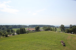 31 Bergplateau Höchsten