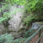 Kalkgestein-beim-Wasserfall-Schmalegger-Rinkenburger-Tobel