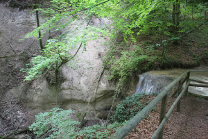 Kalkgestein-beim-Wasserfall-Schmalegger-Rinkenburger-Tobel