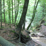 Platz-beim-Wasserfall-Buttenmühlebach