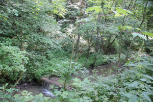 Weg-des-Buttenmühlebach
