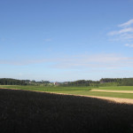 10 Blick auf Neu Waldsee Wald