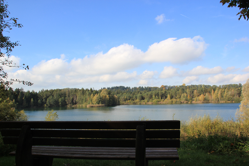 Ummendorfer Natursee & Ried | Wanderziel im Herbst