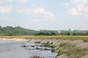 Donau ohne Uferbefestigung
