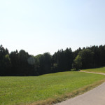 Geteerte-Straße-nach-Scharben