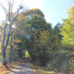 Herbstbilder Ummendorf