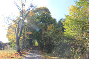 Herbstbilder Ummendorf