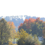 Herbstimpression Ummendorfer Ried