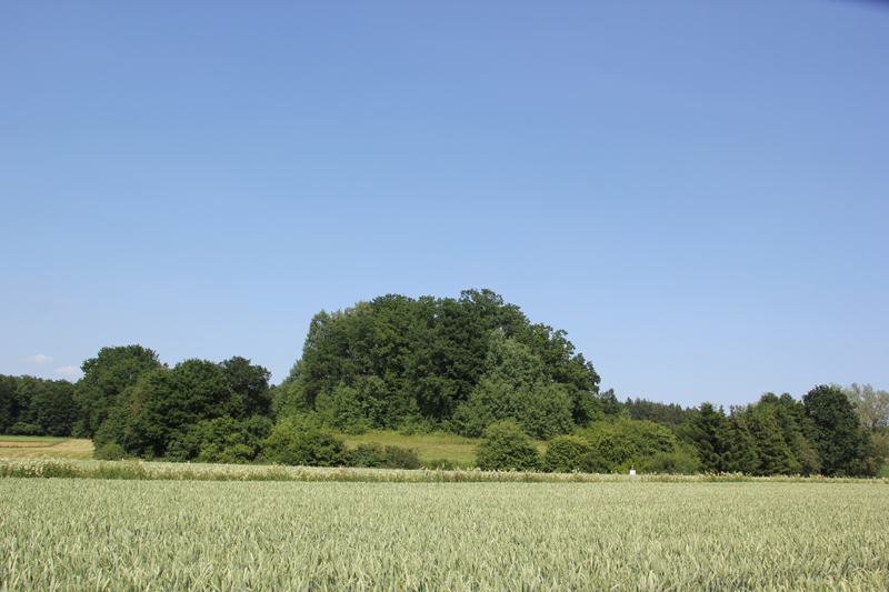 Bürgle Heudorf | Mittelalterlicher Wasser-Turm-Burg – Platz