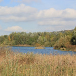 Natursee Ummendorf