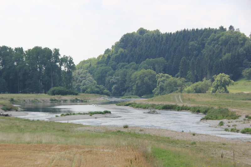 Donaurenaturierung bei Binzwangen