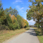 Wander und Radweg Ummendorfer Ried