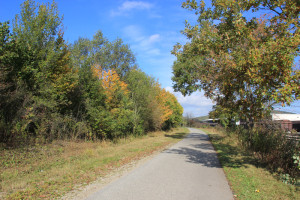 Wander und Radweg Ummendorfer Ried