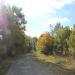 Wanderweg um Ummendorfer Ried