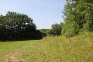 Wiese-Heudorfer-Bürgle