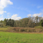 Wiesen mit Wanderweg Ummendorfer Ried