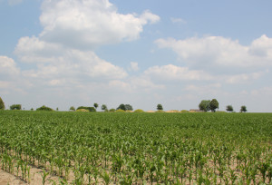 Außensiedlung-Heuneburg-Oberschwaben