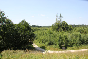 Blick vom Hohmichele nach Norden