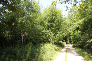 Feldweg zum Hohmichele