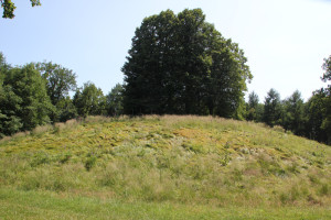 Hohmichele-Grabhügel-mit-Bäumen