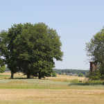 Südlicher-Rand-Vierecksschanze-Aßmannshardt