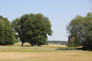 Südlicher-Rand-Vierecksschanze-Aßmannshardt