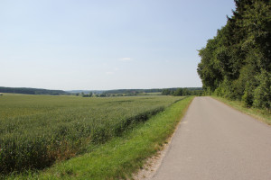 Teerweg zum Hohmichele bei Altheim