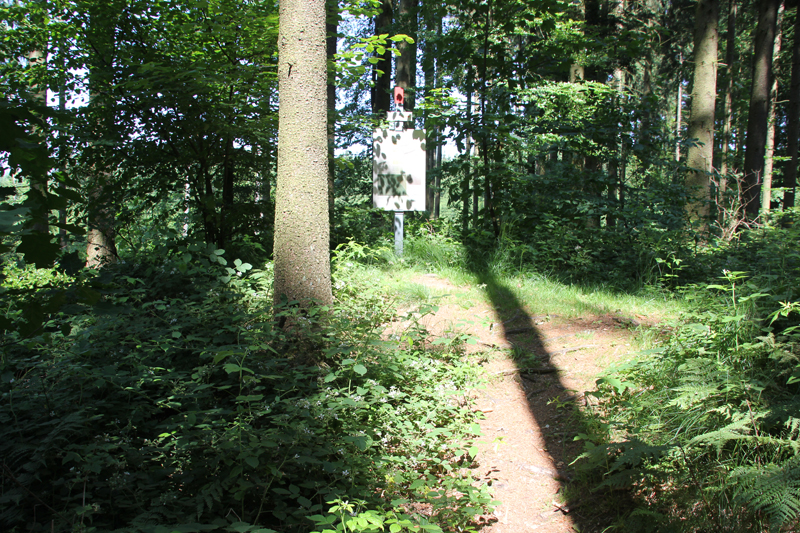 Keltische Vierecksschanzen Altheim-Heiligkreuztal | Archäologischer Wanderweg